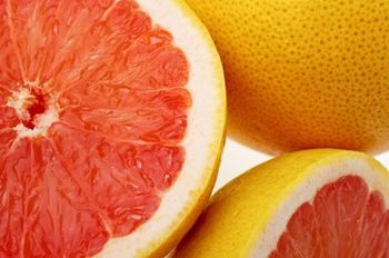 iStock_000003251869Small.jpg